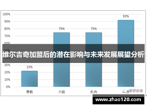 维尔吉奇加盟后的潜在影响与未来发展展望分析