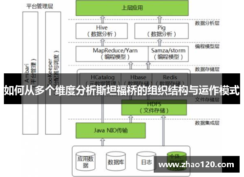 如何从多个维度分析斯坦福桥的组织结构与运作模式